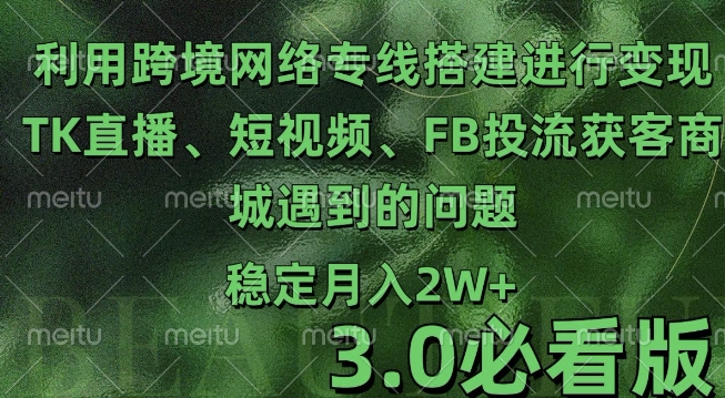 利用跨境电商网络及搭建TK直播、短视频、FB投流获客以及商城遇到的问题进行变现3.0必看版【揭秘】-AI网创