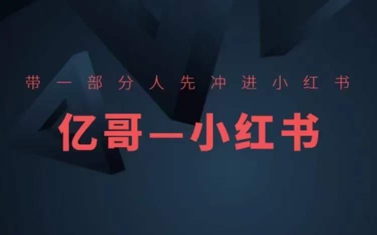 ​​带一部分人先冲进小红书，小红书开店、选品、爆款裂变-AI网创