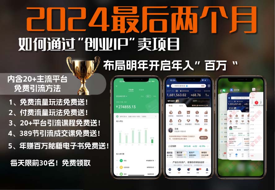 2024最后两个月如何通过”创业IP“卖项目年入”百万“,创业IP+最强引流…-AI网创