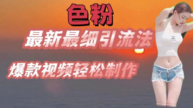 se粉最新最细引流法，七天螺旋起号法，爆款视频轻松制作【揭秘】-AI网创