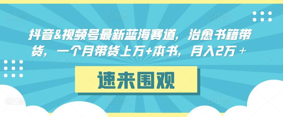 抖音&视频号最新蓝海赛道，治愈书籍带货，一个月带货上万+本书，月入2万＋【揭秘】-AI网创