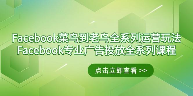 Facebook-菜鸟到老鸟全系列运营玩法+Facebook-专业广告投放全系列课程-AI网创