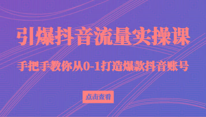 引爆抖音流量实操课，手把手教你从0-1打造爆款抖音账号(27节课)-AI网创