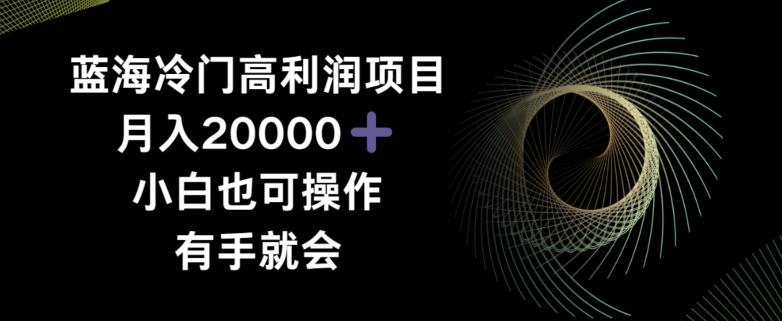 蓝海冷门高利润项目月入2000，小白也可操作有手就会-AI网创