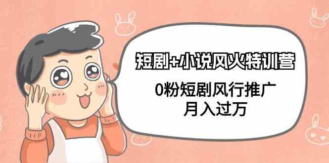 小说+短剧风火特训营，0粉短剧小说风行推广，实现月入过万-AI网创