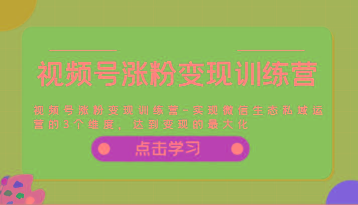 视频号涨粉变现训练营-实现微信生态私域运营的3个维度，达到变现的最大化-AI网创