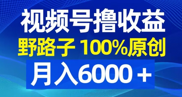 视频号野路子撸收益，100%原创，条条爆款，月入6000＋【揭秘】-AI网创