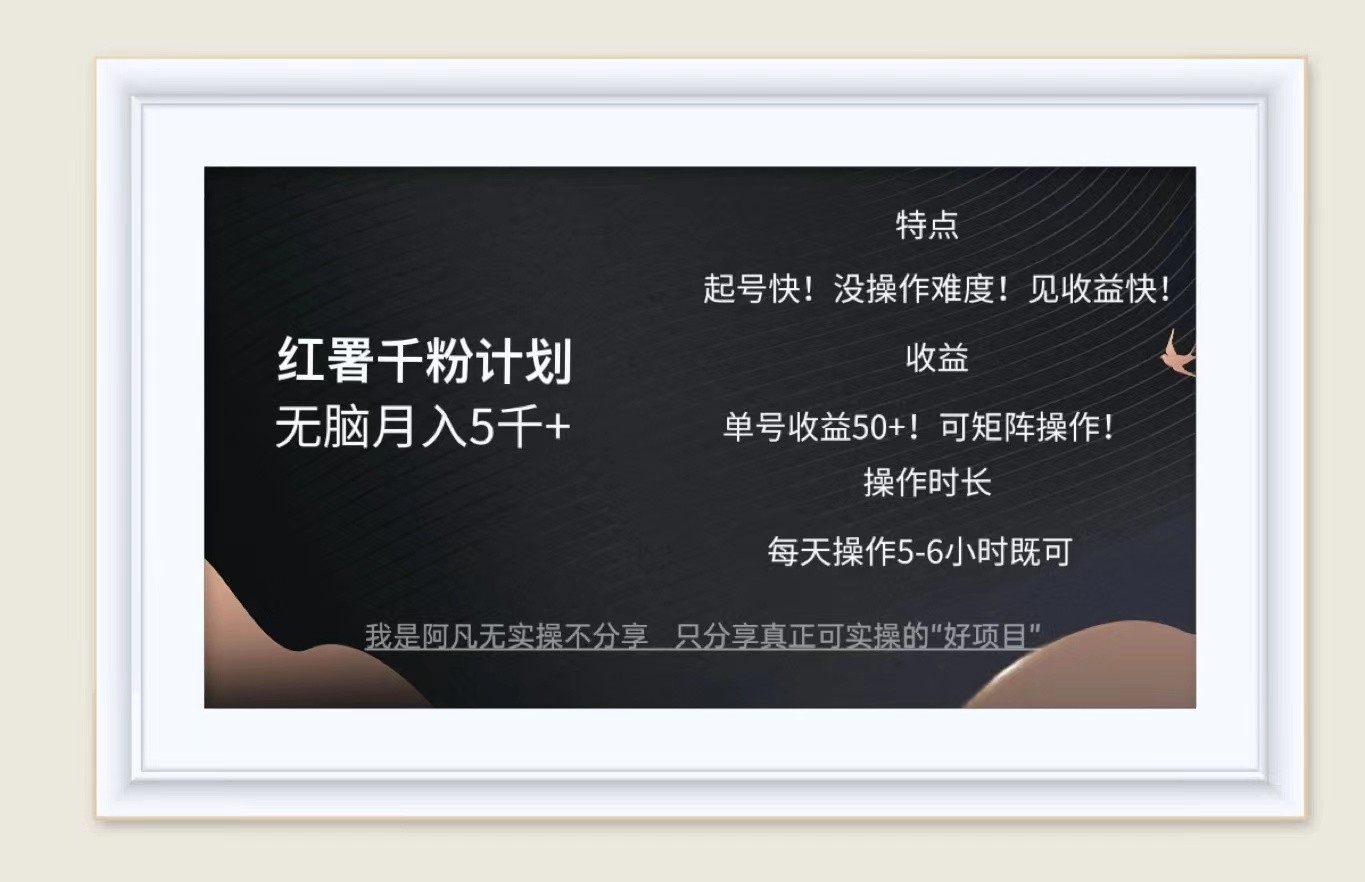 红薯千粉计划无脑月入5千+！既做既赚！-AI网创