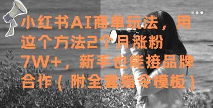 小红书AI商单玩法，用这个方法2个月涨粉7W+，新手也能接品牌合作(附全套指令模板)-AI网创