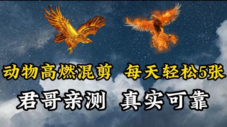 动物超燃混剪，每天轻松5张，剪辑简单大家爱看【揭秘】-AI网创