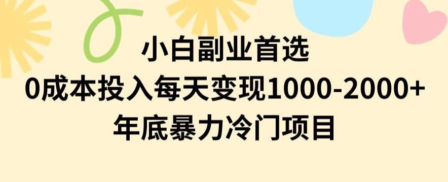 小白副业首选，0成本投入，每天变现1000-2000年底暴力冷门项目【揭秘】-AI网创