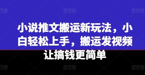小说推文搬运新玩法，小白轻松上手，搬运发视频让搞钱更简单-AI网创