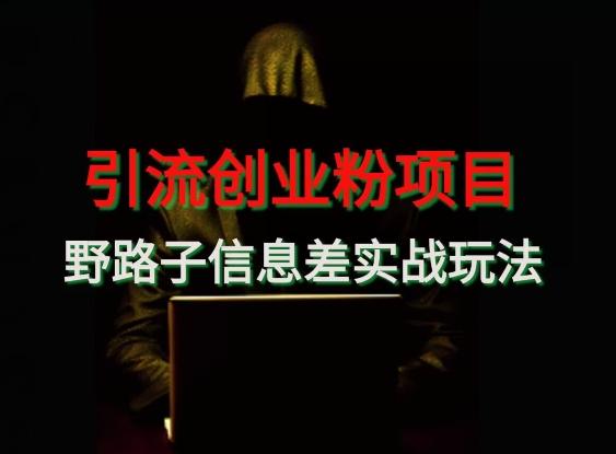 【引流创业粉】野路子信息差玩法实战教学-AI网创