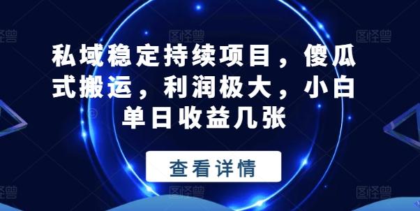 私域稳定持续项目，傻瓜式搬运，利润极大，小白单日收益几张【揭秘】-AI网创