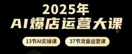 2025年AI爆店运营大课，13节AI实操课+37节流量运营课-AI网创