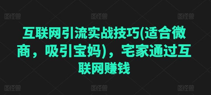 互联网引流实战技巧(适合微商，吸引宝妈)，宅家通过互联网赚钱-AI网创