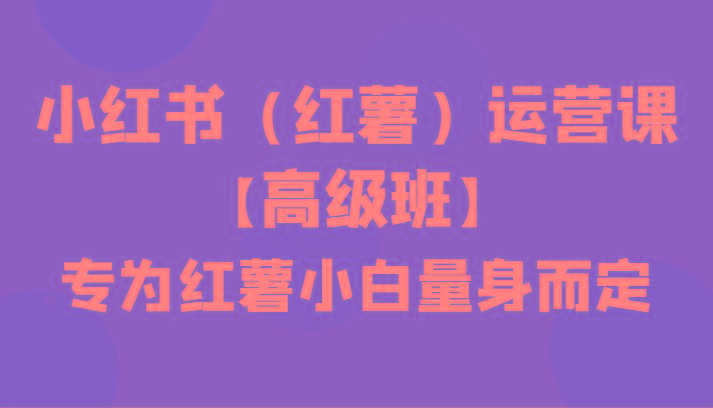 小红书(红薯)运营课【高级班】，专为红薯小白量身而定(42节课)-AI网创