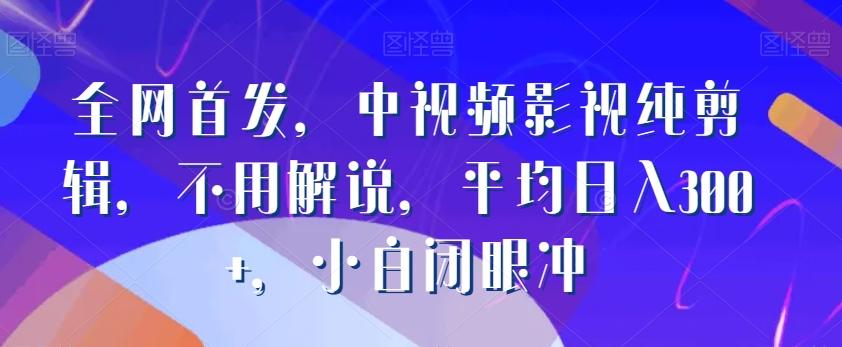 全网首发，中视频影视纯剪辑，不用解说，平均日入300+，小白闭眼冲-AI网创