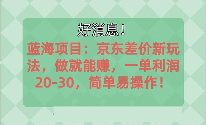 越早知道越能赚到钱的蓝海项目：京东大平台操作，一单利润20-30，简单…-AI网创