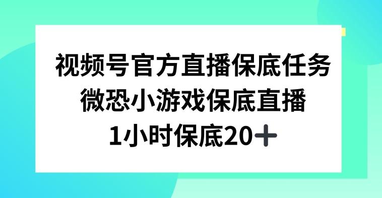 视频号直播任务，微恐小游戏，1小时20+【揭秘】-AI网创