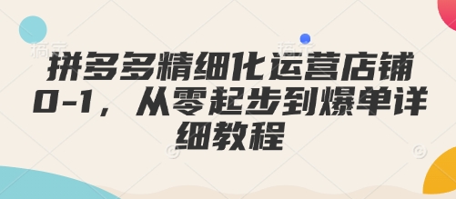 拼多多精细化运营店铺0-1，从零起步到爆单详细教程-AI网创