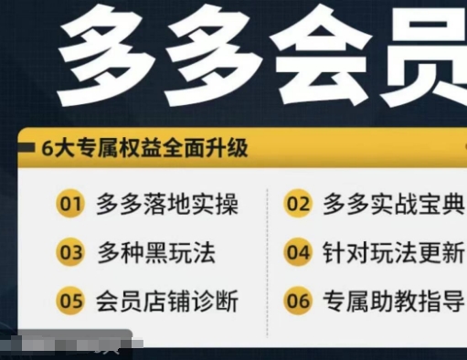 拼多多会员，拼多多实战宝典+实战落地实操，从新手到高阶内容全面覆盖-AI网创