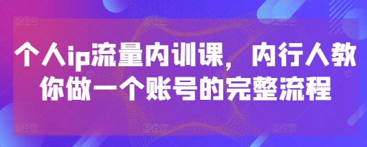 个人ip流量内训课，内行人教你做一个账号的完整流程-AI网创