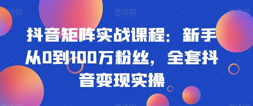 抖音矩阵实战课程：新手从0到100万粉丝，全套抖音变现实操-AI网创
