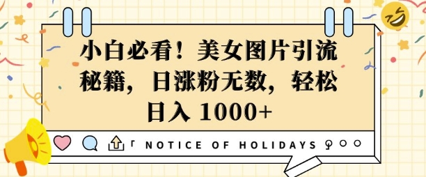小白必看，美女图片引流秘籍，日涨粉无数，轻松日入几张【揭秘】-AI网创