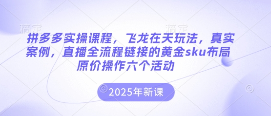 拼多多实操课程，飞龙在天玩法，真实案例，直播全流程链接的黄金sku布局原价操作六个活动-AI网创