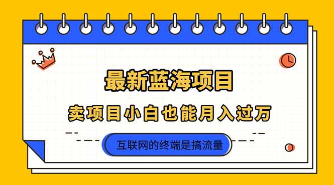 2025年最新蓝海项目，卖项目小白也能月入过万-AI网创