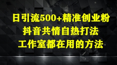 日引流500+精准创业粉，抖音共情自热打法，工作室都在用的方法-AI网创