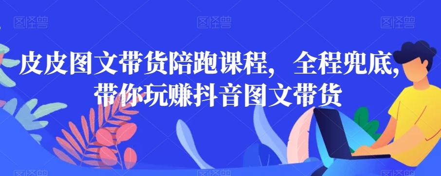 皮皮图文带货陪跑课程，全程兜底，带你玩赚抖音图文带货-AI网创