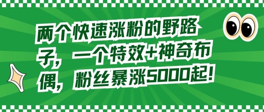 两个快速涨粉的野路子，一个特效+神奇布偶，粉丝暴涨5000起【揭秘】-AI网创