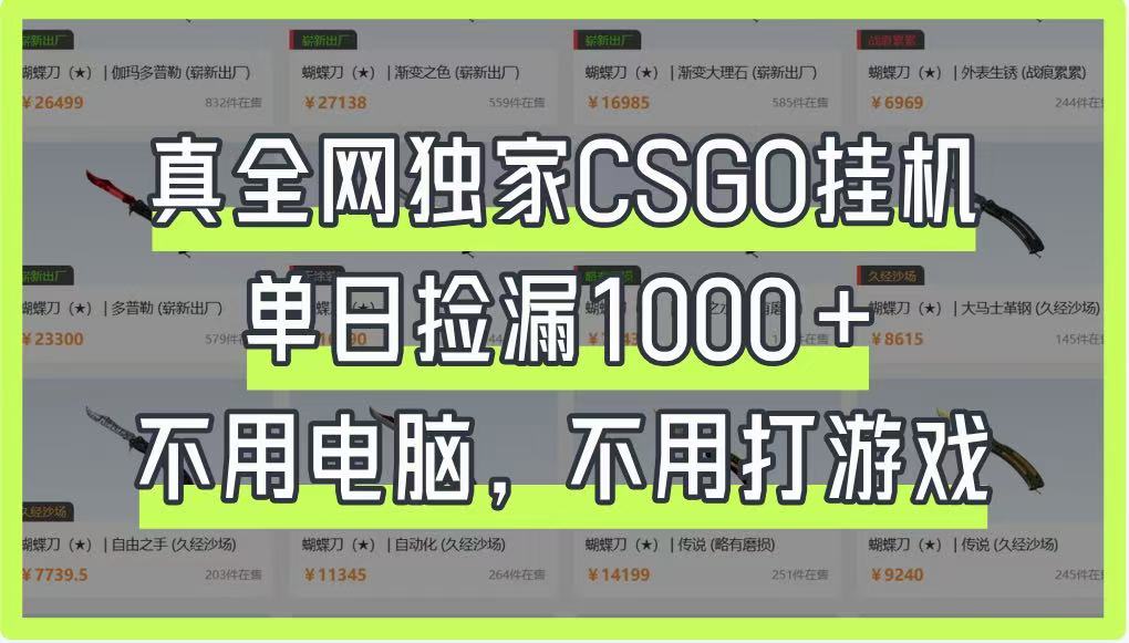 真全网独家CSGO挂机，单日捡漏1000+，不用电脑，不用养号-AI网创