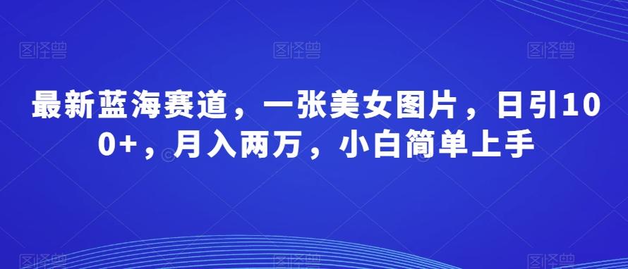 最新蓝海赛道，一张美女图片，日引100+，月入两万，小白简单上手-AI网创