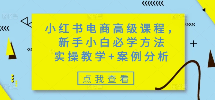 小红书电商高级课程，新手小白必学方法，实操教学+案例分析-AI网创