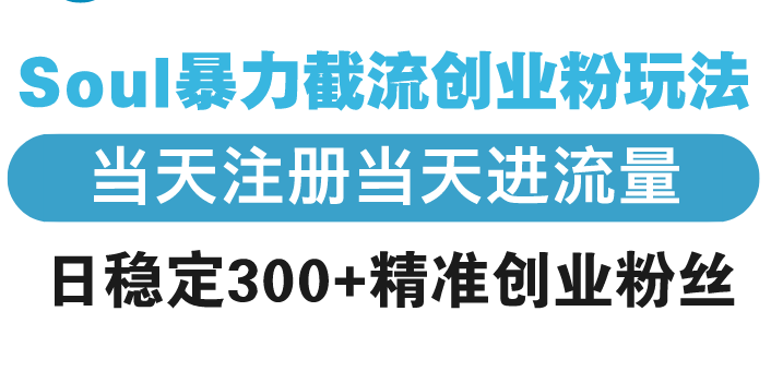 Soul暴力截流创业粉玩法，当天注册当天进流量，日稳定300+精准创业粉丝-AI网创
