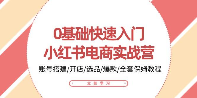 0基础快速入门-小红书电商实战营：账号搭建/开店/选品/爆款/全套保姆教程-AI网创