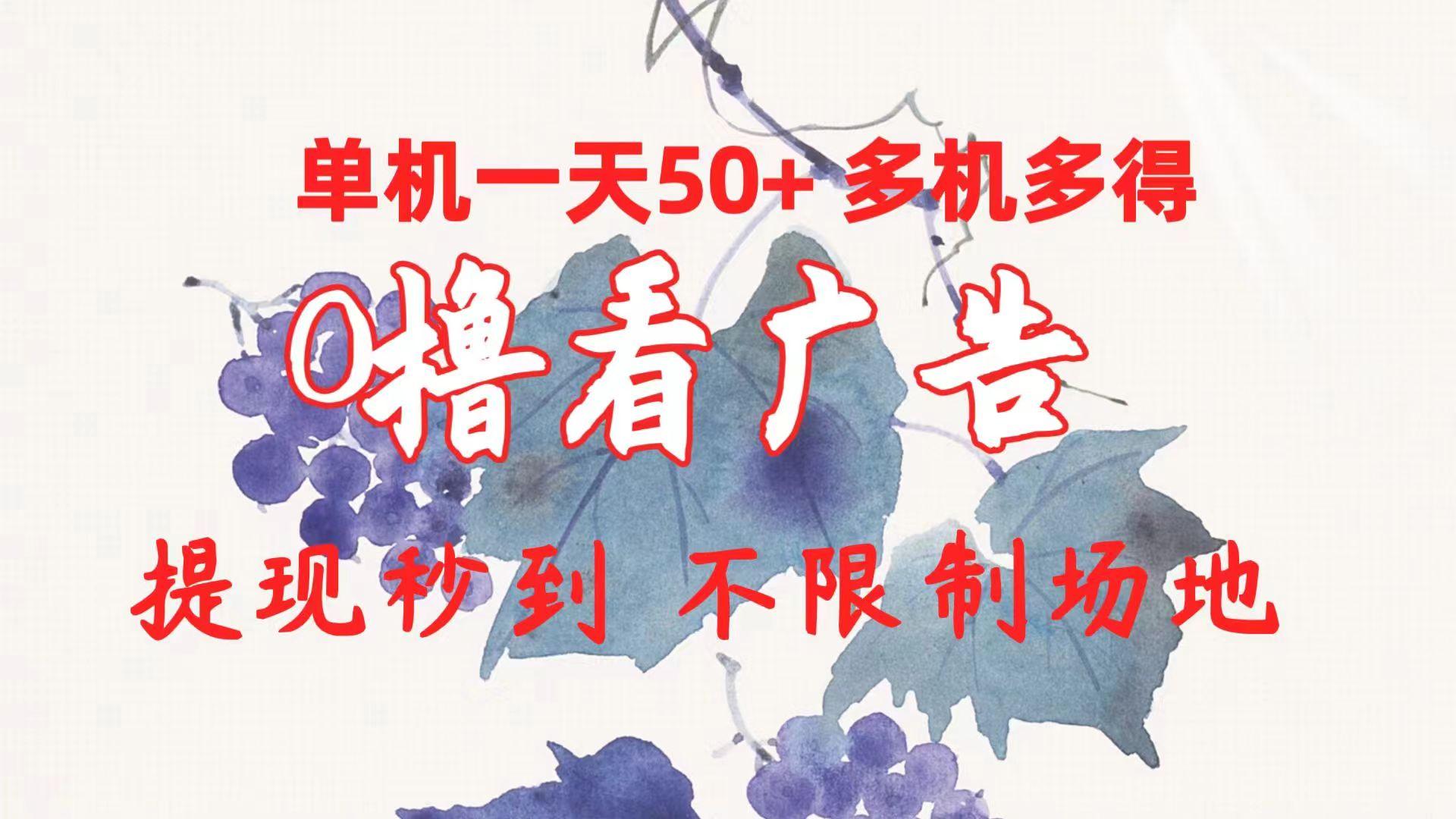 0撸看广告 单机一天50+多机多得 提现秒到 不限制场地操作-AI网创