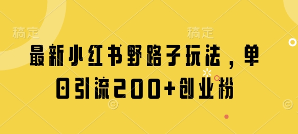 最新小红书野路子玩法，单日引流200+创业粉-AI网创