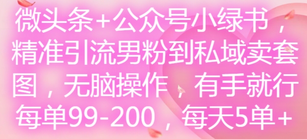 微头条+公众号小绿书，精准引流男粉到私域卖套图，无脑操作，有手就行，每单99-200，每天5单-AI网创