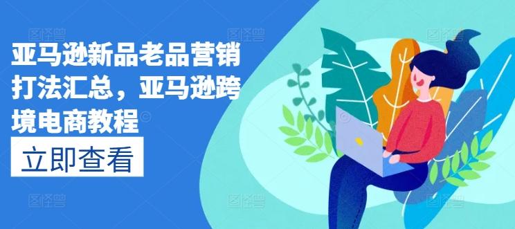 亚马逊新品老品营销打法汇总，亚马逊跨境电商教程-AI网创