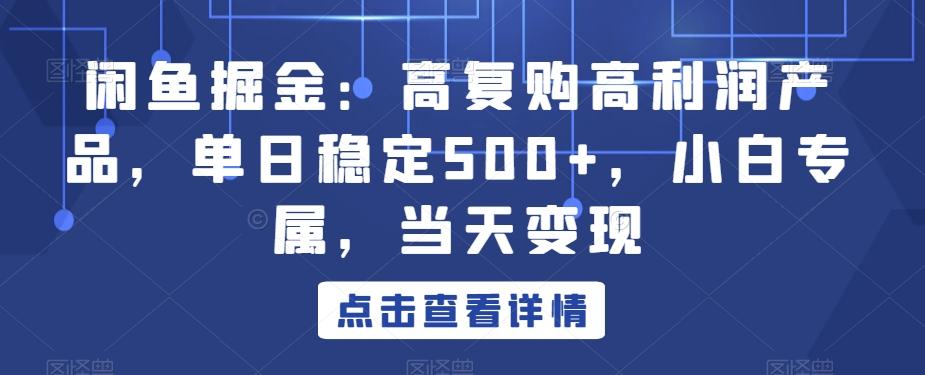 闲鱼掘金：高复购高利润产品，单日稳定500+，小白专属，当天变现-AI网创