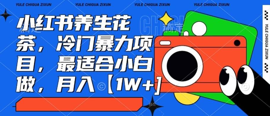 小红书养生花茶，冷门暴力项目，最适合小白做，月入【1W+】-AI网创