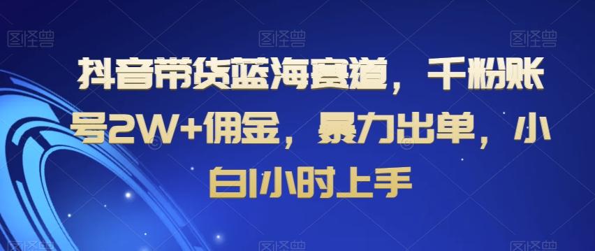 抖音带货蓝海赛道，千粉账号2W+佣金，暴力出单，小白1小时上手【揭秘】-AI网创