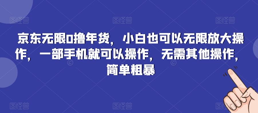 京东无限0撸年货，小白也可以无限放大操作，一部手机就可以操作，无需其他操作，简单粗暴-AI网创