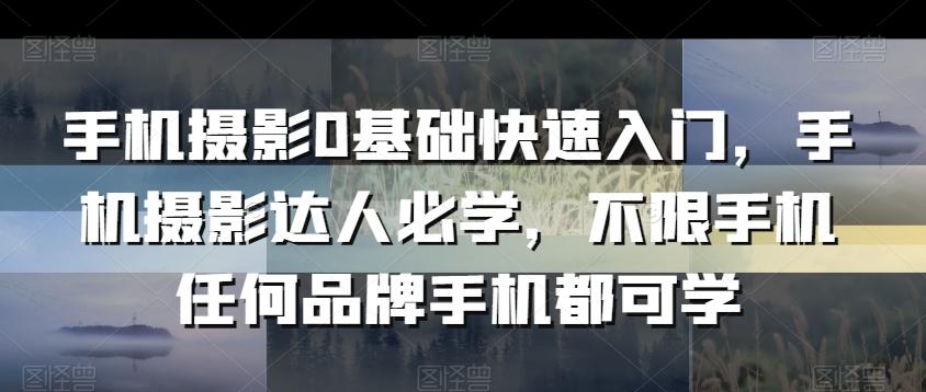 手机摄影0基础快速入门，手机摄影达人必学，不限手机任何品牌手机都可学-AI网创