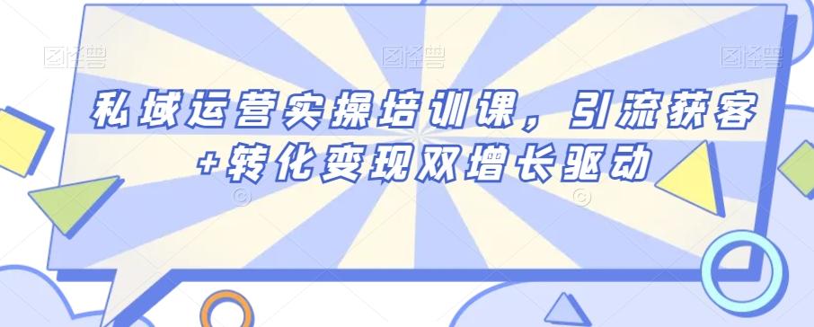 私域运营实操培训课，引流获客+转化变现双增长驱动-AI网创