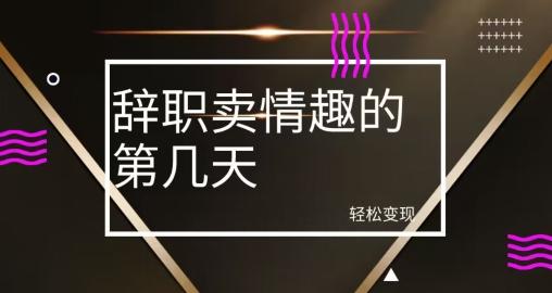 冷门赛道，辞职卖情趣的第几天，超暴力项目-AI网创